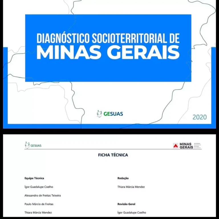 Em 2020 elaborei, junto ao GESUAS, o Diagnóstico Socioterritorial do estado de Minas Gerais. Neste trabalho, fui responsável pela análise dos dados e pela redação do Diagnóstico.